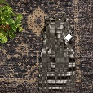 NWT Calvin Klein black and white dress